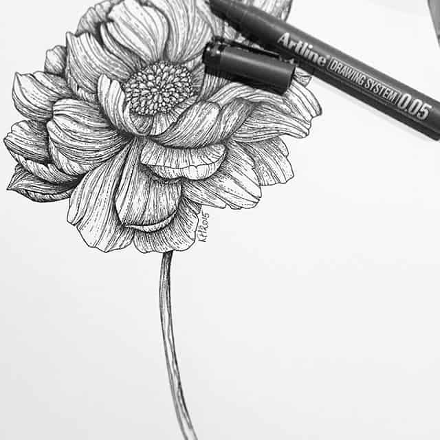 Hình vẽ các loài hoa bằng bút chì  Phần 1