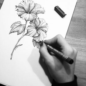 Bạn có muốn học cách vẽ hoa râm bụt không? Hãy tham khảo hướng dẫn chi tiết với các bước vẽ cụ thể trong một trong nhưng tài liệu chất lượng nhất trên mạng!
