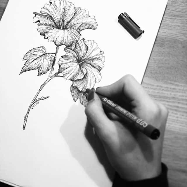 Vẽ hoa râm bụt là một nghệ thuật, với các nét vẽ mềm mại và tinh tế. Hình ảnh về hoa râm bụt trên tranh vẽ của nghệ sĩ sẽ khiến bạn say mê với sự độc đáo và sắc màu phong phú của loài hoa đặc biệt này.