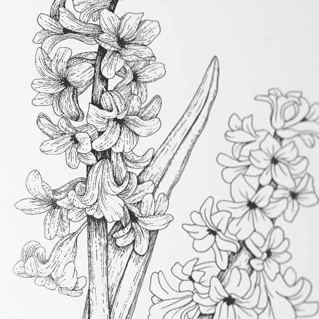 Bằng cách sử dụng bút chì, bạn sẽ thấy một cái nhìn khác về vẻ đẹp của những bông hoa. Màu đen của bút chì không chỉ tạo nét vẽ sắc nét, mà còn tạo ra sự tối giản, thanh lịch cho bức tranh. Hãy ngắm nhìn những bức tranh hoa bằng bút chì, bạn sẽ cảm nhận được sự yên bình, thanh tao của những bông hoa.